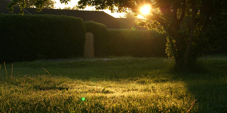 Zon laaghangend zonsondergang achtertuin met gras