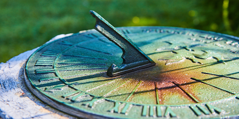 Zonnewijzer turquoise groen in een tuin
