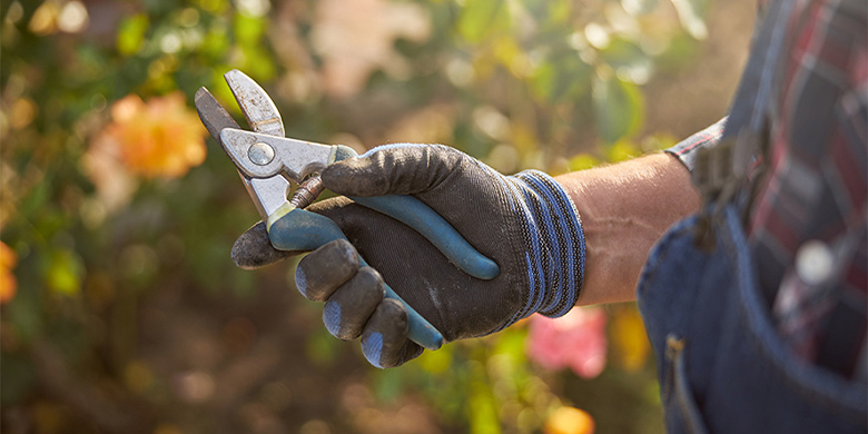 Tuinier met tang in hand en handschoen